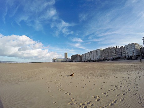 Ostende