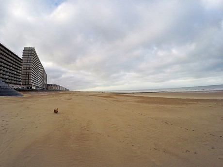 Ostende
