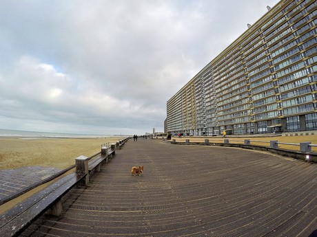Ostende