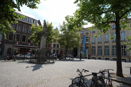 antwerpen-stadtrundfahrt