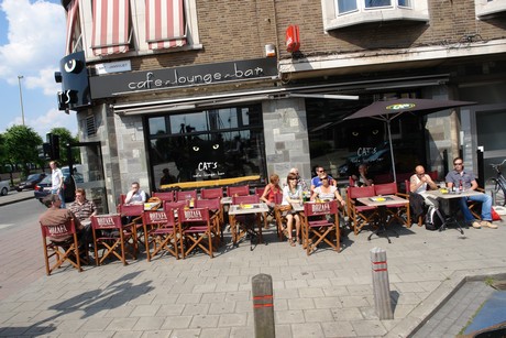 antwerpen-stadtrundfahrt