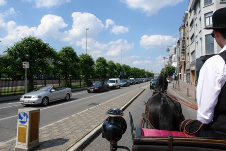 antwerpen-stadtrundfahrt