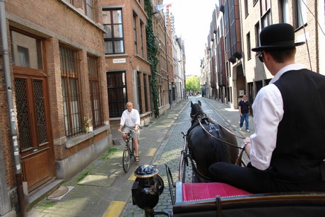 antwerpen-stadtrundfahrt