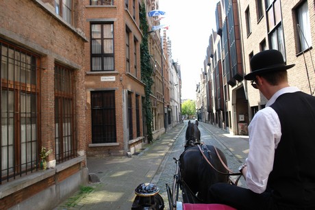 antwerpen-stadtrundfahrt