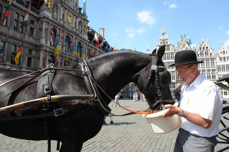 antwerpen-stadtrundfahrt