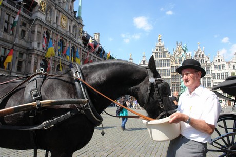 antwerpen-stadtrundfahrt