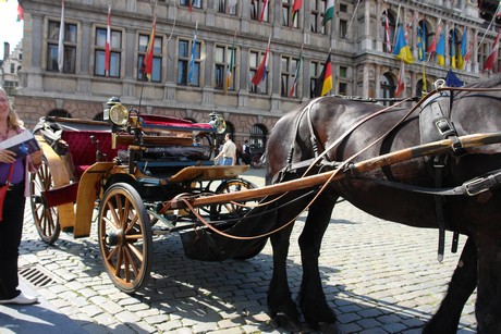 antwerpen-stadtrundfahrt